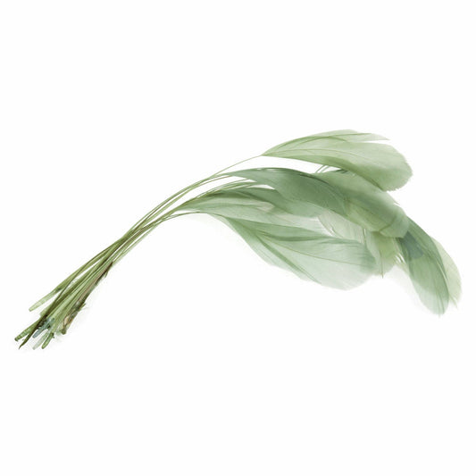 Sage Green Stripped Coque Feathers for Millinery - Pack of 12