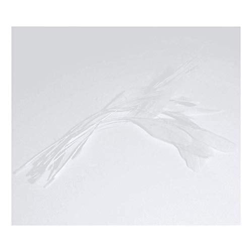 12 White Diamond Feathers cut from Ostrich Feathers