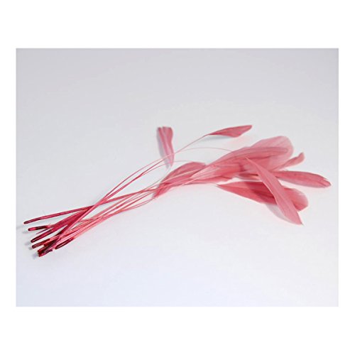 12 Cerise Diamond Feathers Stripped cut Feathers