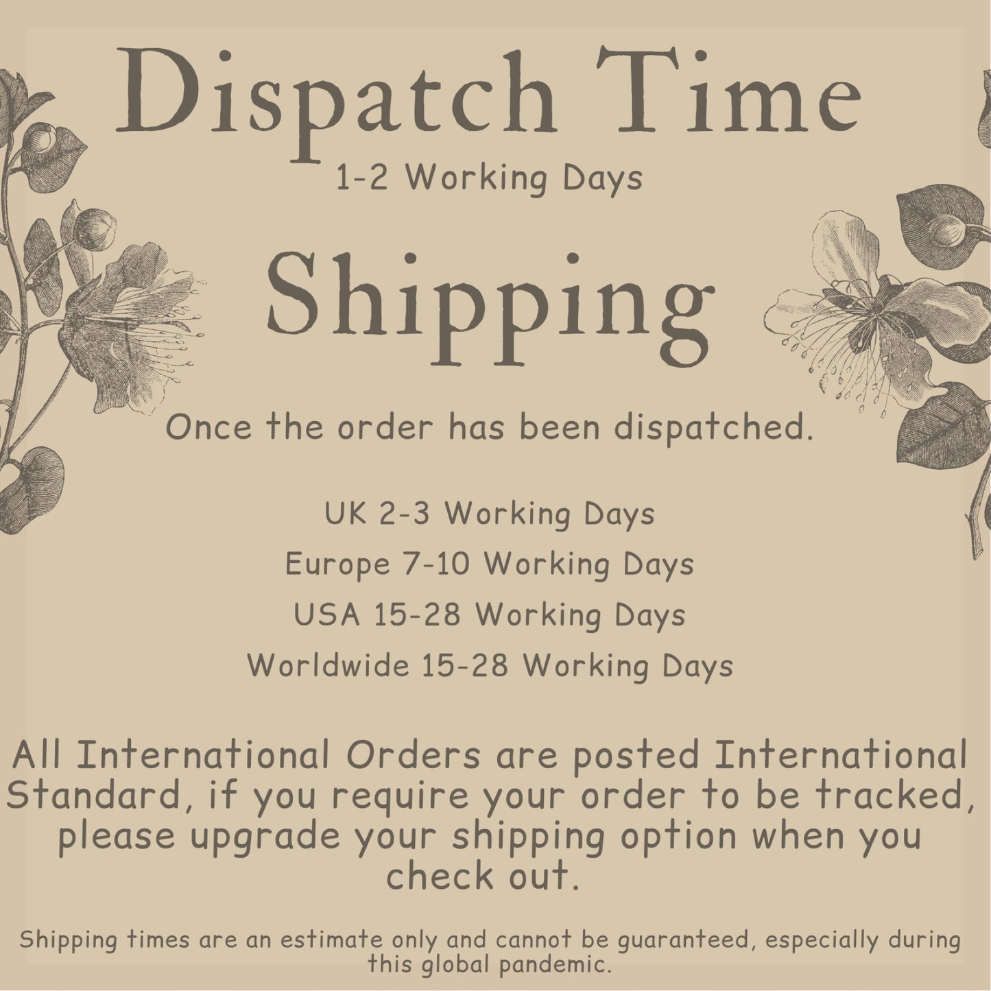 Handmade Vibrant Vintage Sari Borders Ribbon Trim 4 and 5 Metre Packs