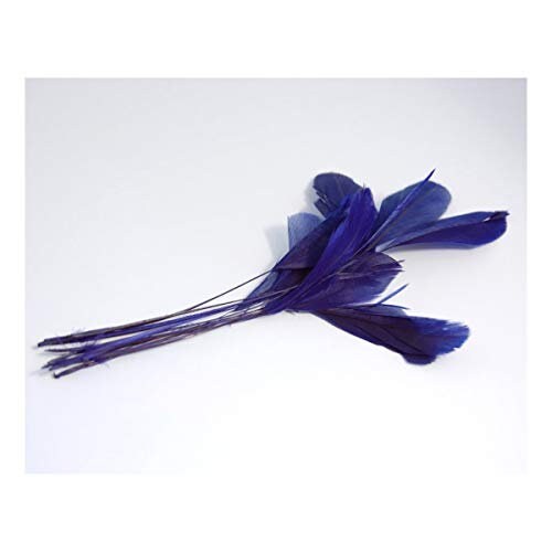 Royal Blue Stripped Coque Feathers for Millinery - Pack of 12