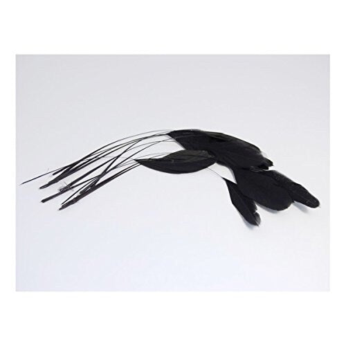 Black Stripped Coque Feathers for Millinery - Pack of 12