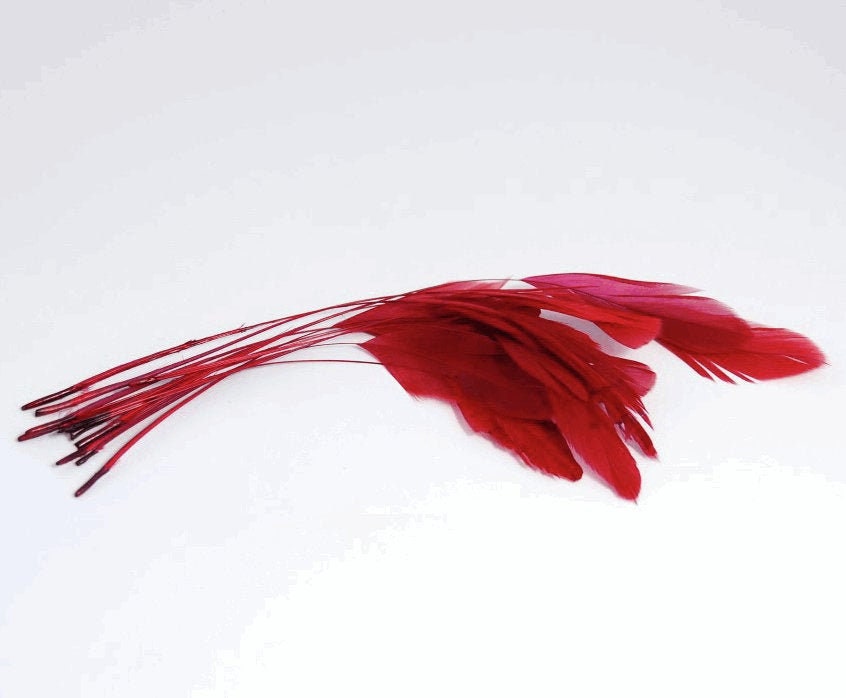 Claret stripped coque feathers for millinery - pack of 12