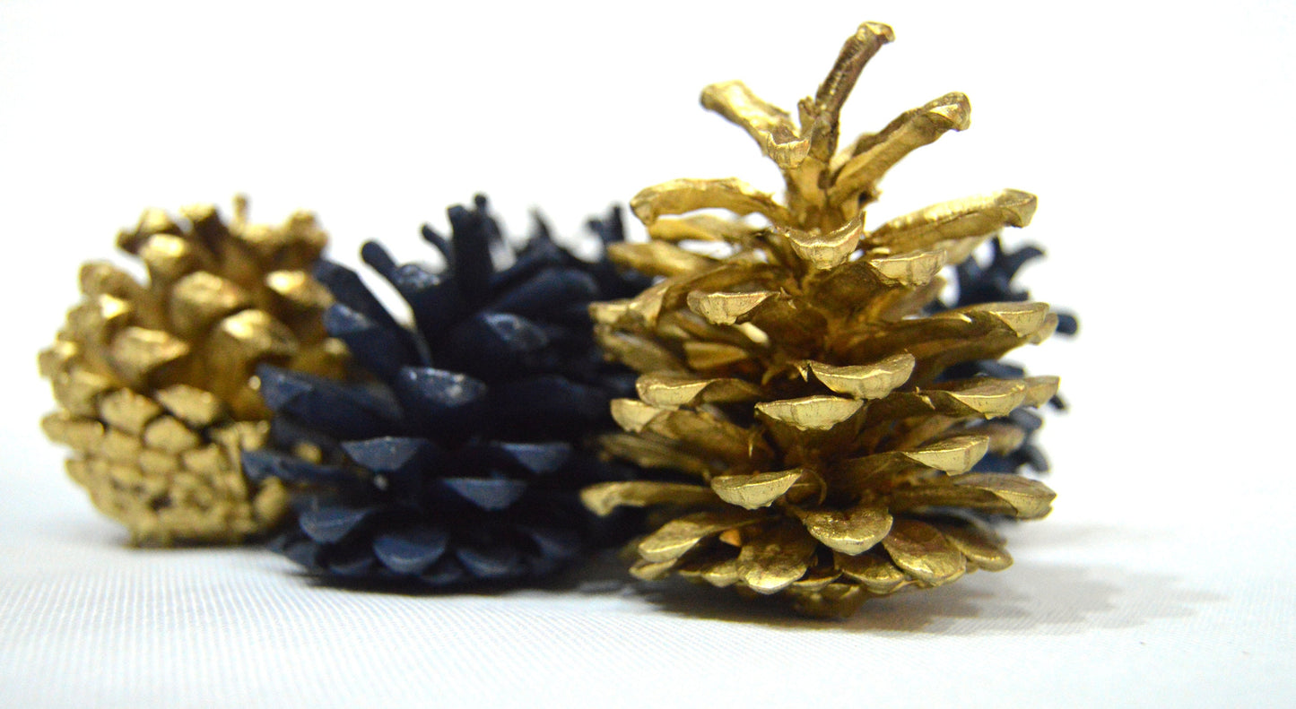 Dark Teal & Gold Luxury Pine Cones 4-8 cm
