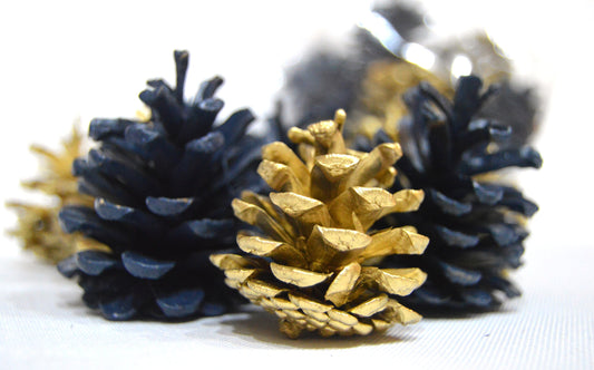 Dark Teal & Gold Luxury Pine Cones 4-8 cm