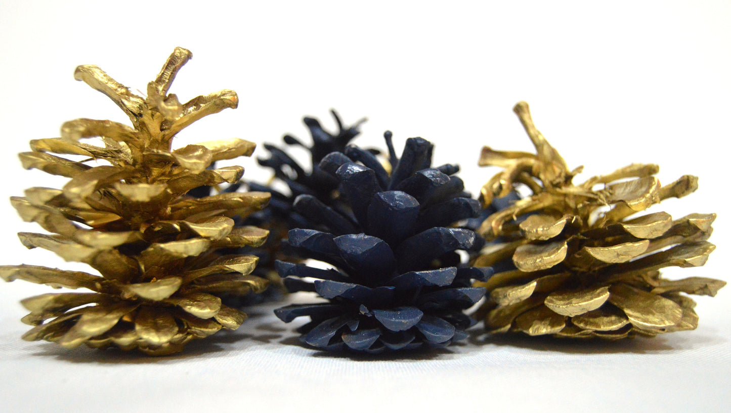 Dark Teal & Gold Luxury Pine Cones 4-8 cm