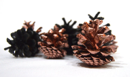 Black & Copper Luxury Pine Cones 4-8 cm